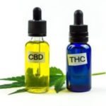 Cannabis CBD and THC oils bottles isolated