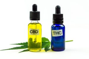 Cannabis CBD and THC oils bottles isolated